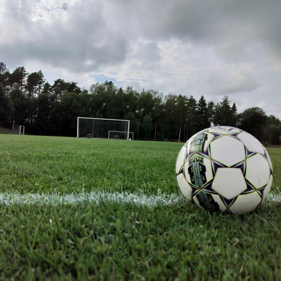 fotboll på gräs
